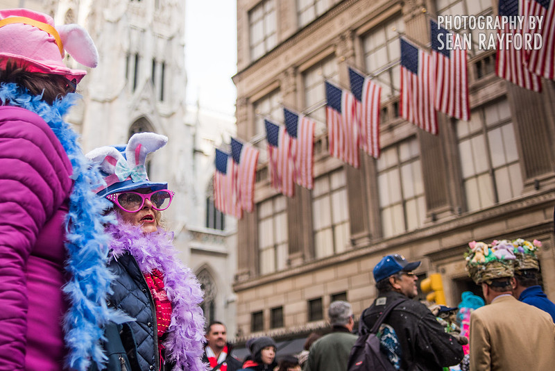 Avoid Pollen Travel blog New York City easter 2016 56275