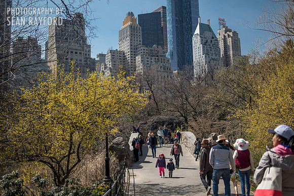 Avoid Pollen Travel blog New York City easter 2016  56436