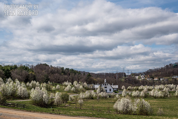 Avoid Pollen Travel blog East Coast 2016  55494
