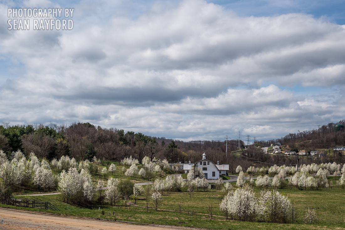 Avoid Pollen Travel blog East Coast 2016  55494