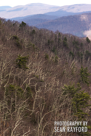 Avoid Pollen Travel blog East Coast 2016  55618