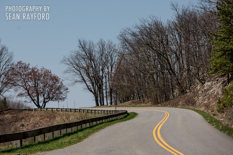 Avoid Pollen Travel blog Blue Ridge Parkway April 4 2016  60955