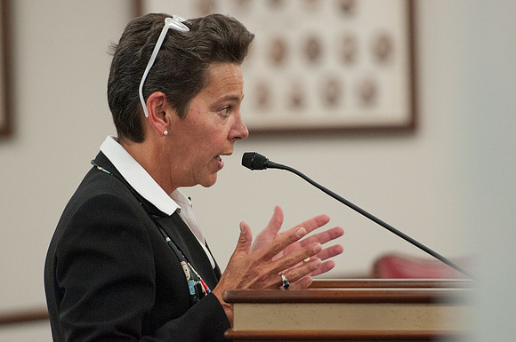 South Carolina DSS Hearing - Columbia SC