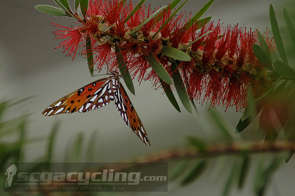 South Carolina photographer