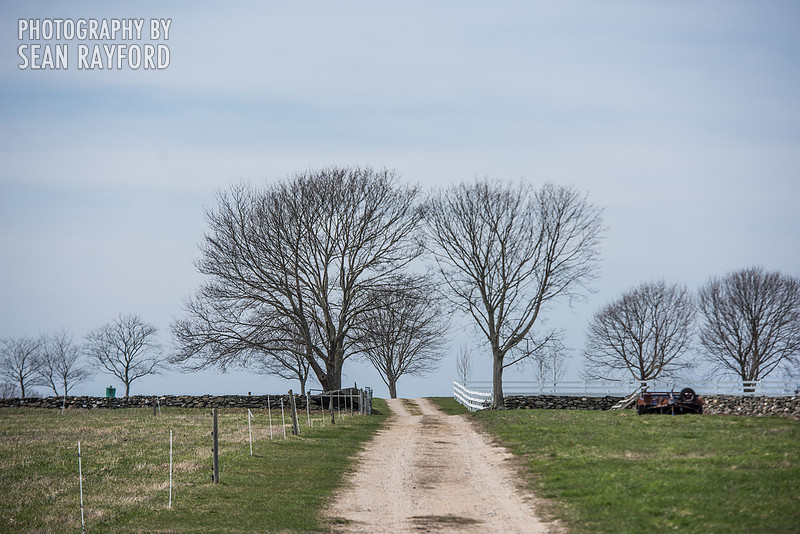 Avoid Pollen Travel blog Rhode Island 2016  58642