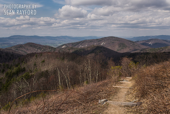 Avoid Pollen Travel blog East Coast 2016  55682