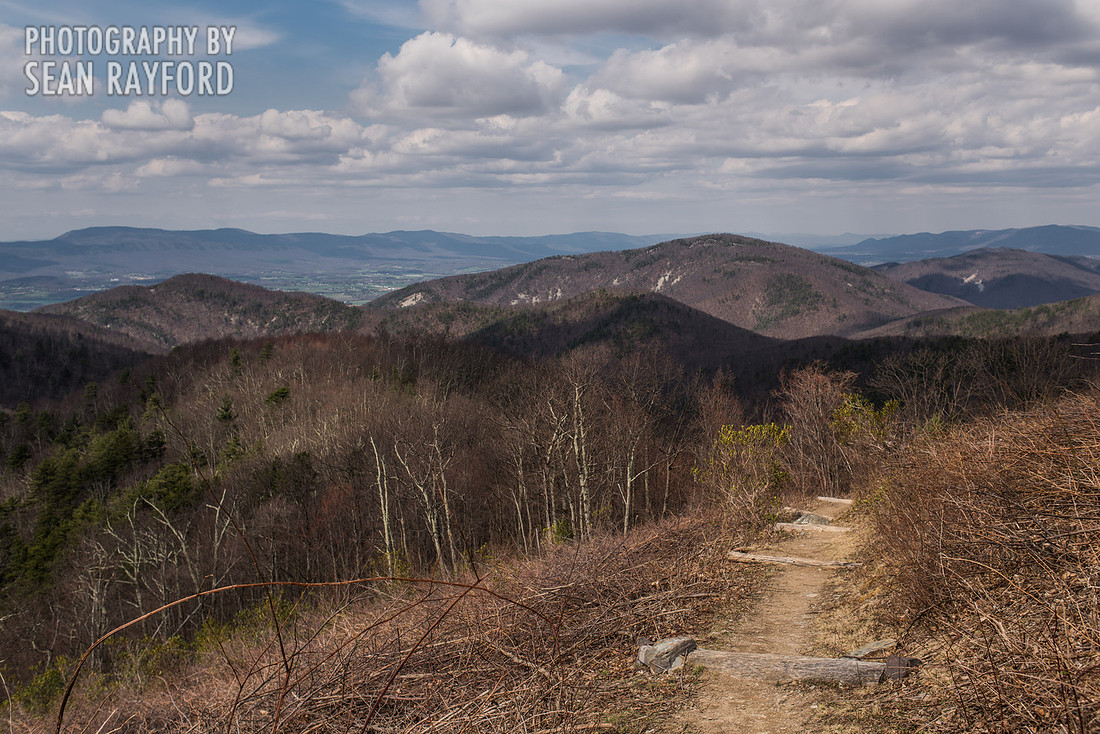 Avoid Pollen Travel blog East Coast 2016  55682