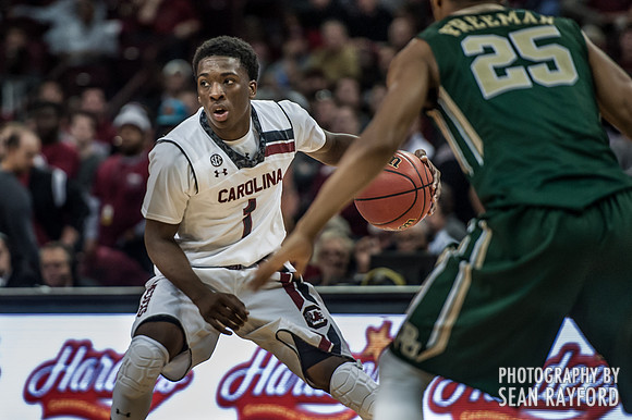 South Carolina Basketball Photos