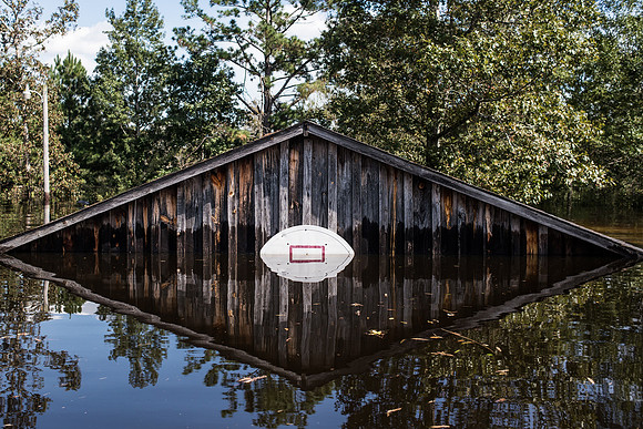 Flood day 7 36343