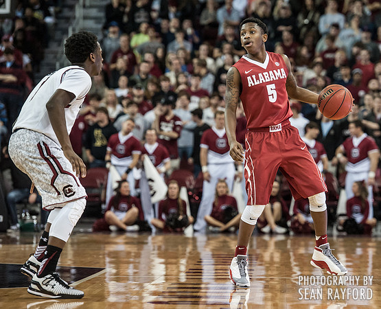 South Carolina Basketball Photos