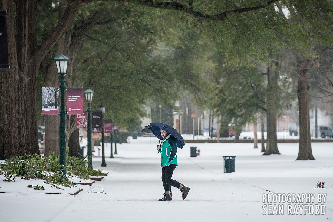 Winter storm in Columbia SC - Feb 2014