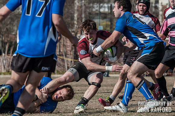 South Carolina Gamecocks Rugby Photos