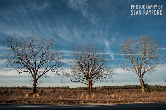 South Carolina Photos