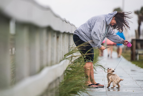 hurricane Irma daytona photos 130302-2