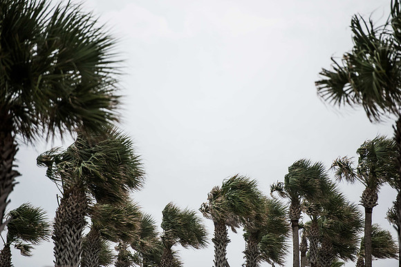 hurricane Irma daytona photos 130831