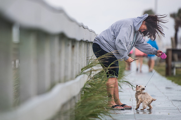 hurricane Irma daytona photos 130302