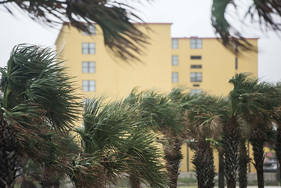 hurricane Irma daytona photos 129639