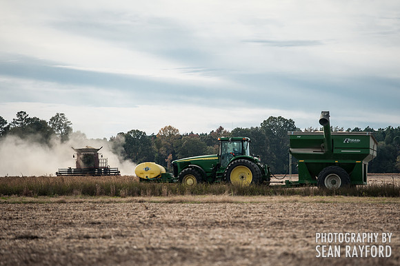 South Carolina Landscape Photography