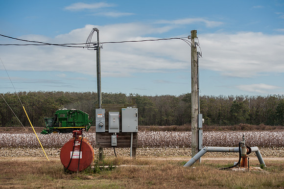 Cotton - South Carolina