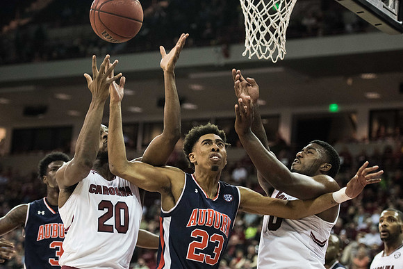 Auburn South Carolina 18369