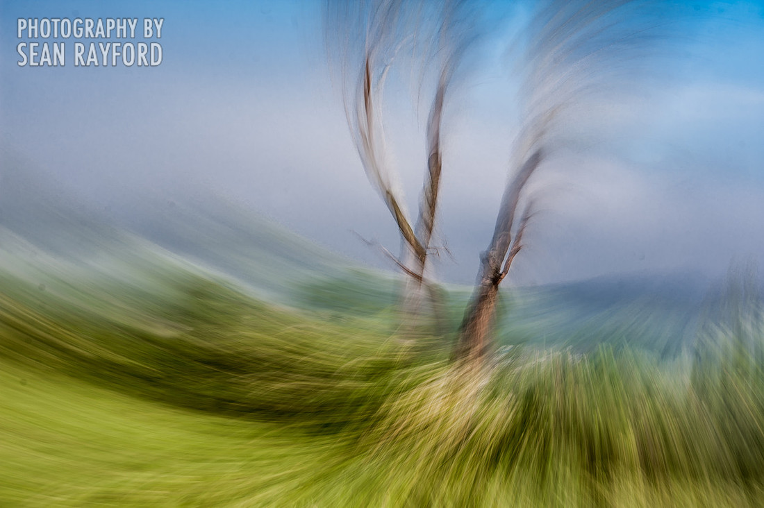 South Carolina Photographer Gets Bored