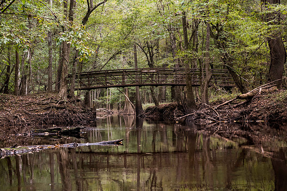 Canoe trail congaree national forest 172416