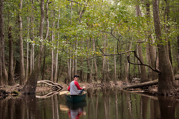 Canoe trail congaree national forest 172417