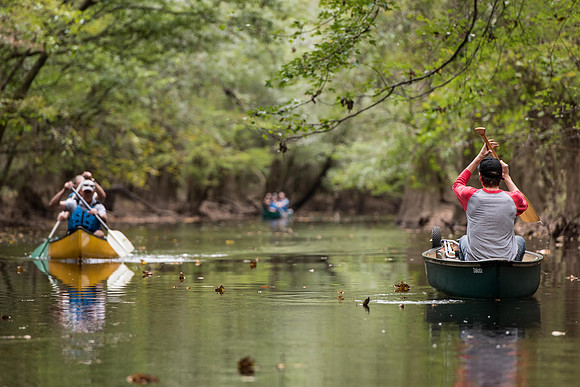 Canoe trail congaree national forest 172420