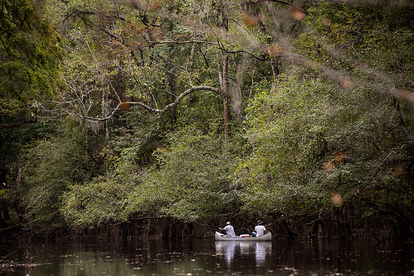 Canoe trail congaree national forest 172423