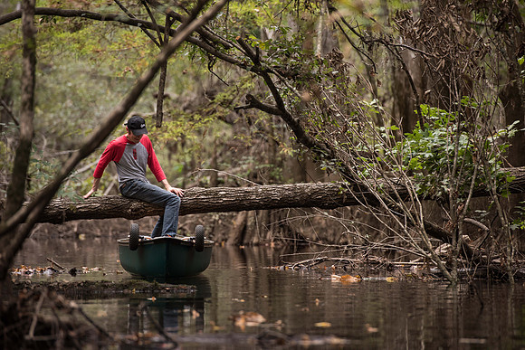 Canoe trail congaree national forest 172424