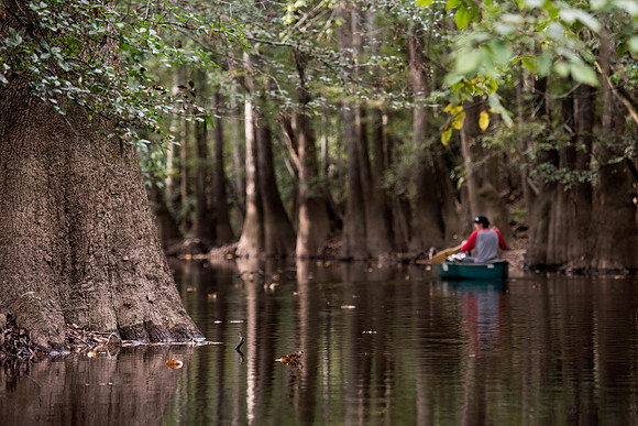 Canoe trail congaree national forest 172426