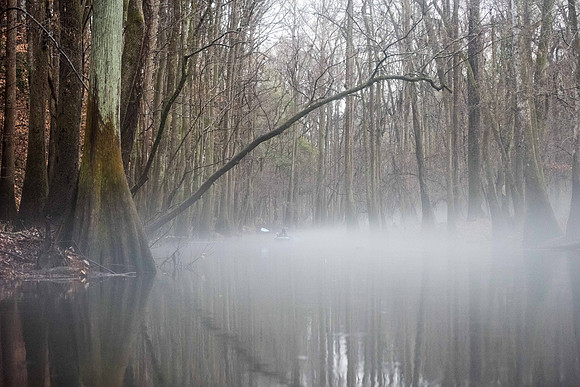 Congaree National Park  007830