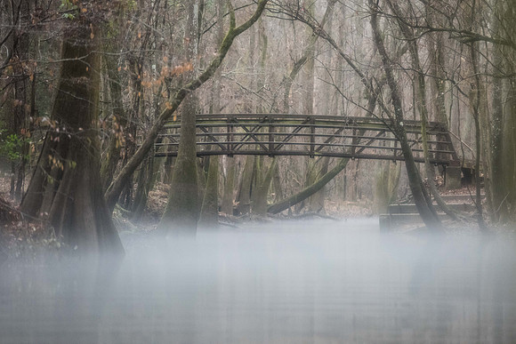 Congaree National Park  007834