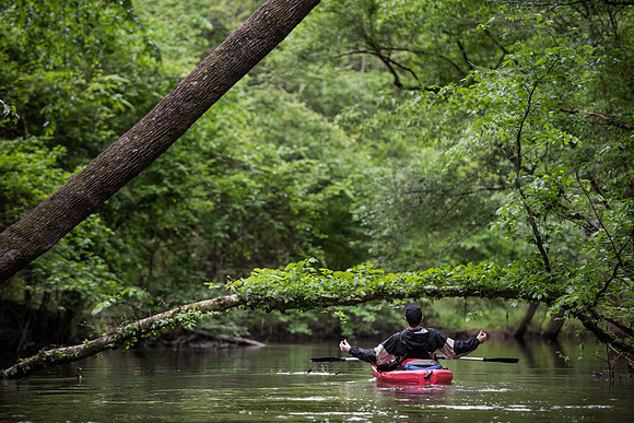 kayaking the congaree national forest cedar creek 019265