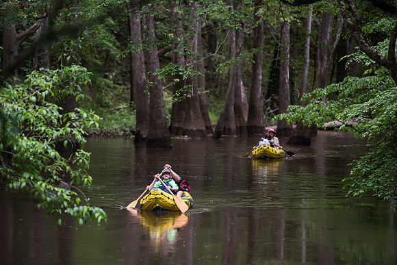 kayaking the congaree national forest cedar creek 019344