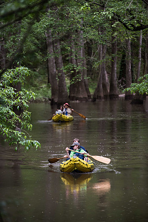 kayaking the congaree national forest cedar creek 019350