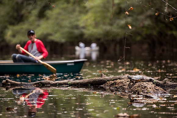 Canoe trail congaree national forest 172422