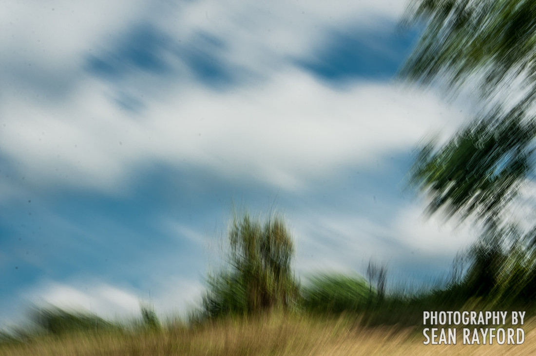 South Carolina Photographer Gets Bored