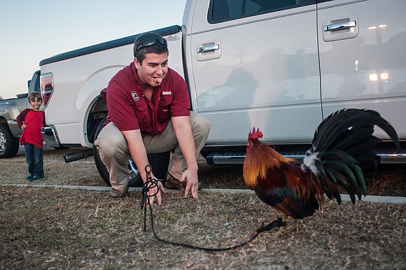South Carolina Fan Photos