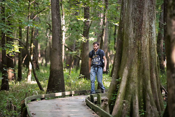 congaree national forest photos 2582