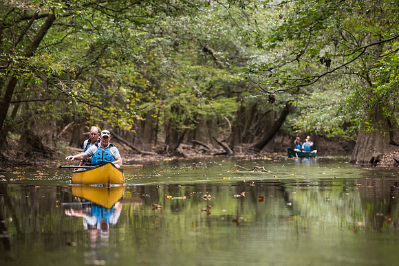 Canoe trail congaree national forest 172418