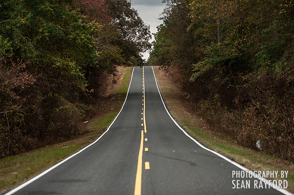 South Carolina Landscape Photography