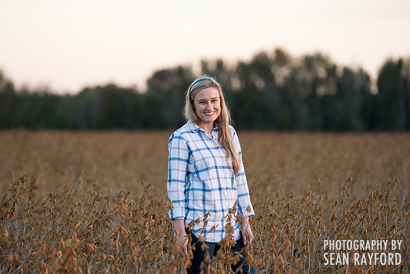 soy beans 00017