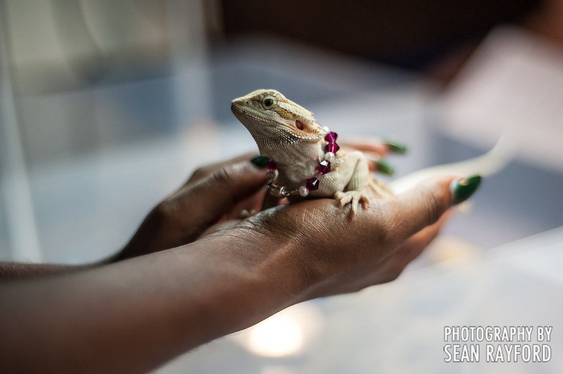 Repticon Columbia SC Photographer