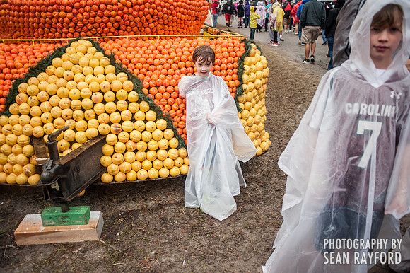Citrus Bowl Photos - 2014