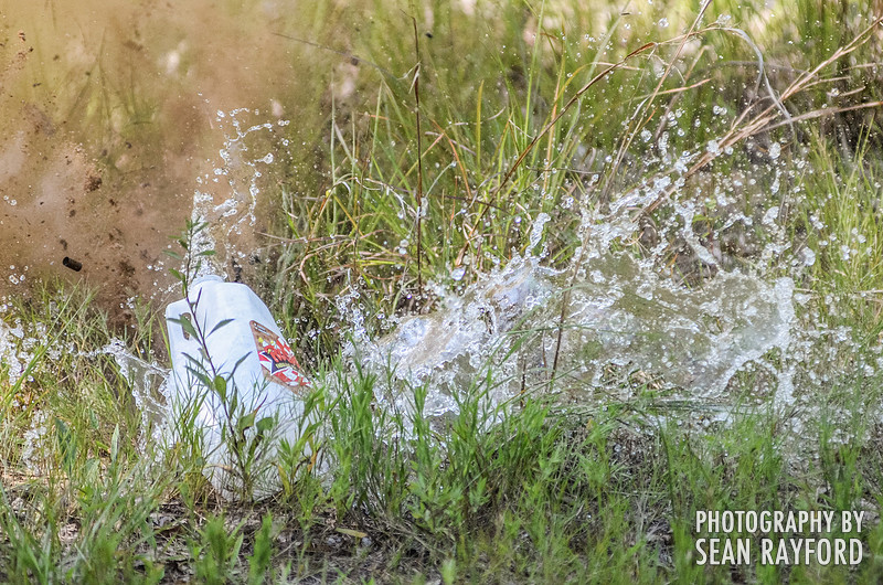 Columbia SC Photojournalist - Photography of the South
