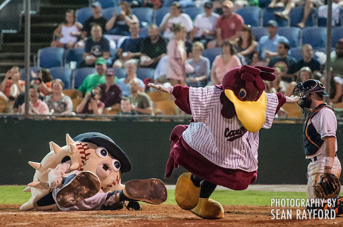 South Carolina Gamecocks vs. the Columbia Blowfish