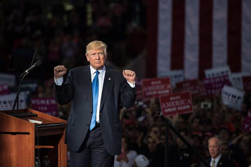 Trump raleigh 13634