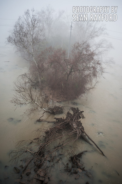 Fog in Columbia SC