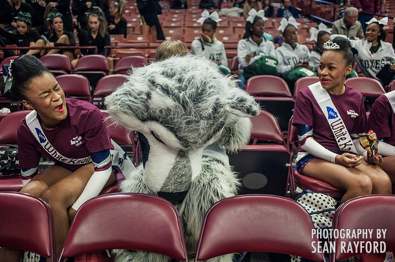 South Carolina State Championships - Competitive Cheer